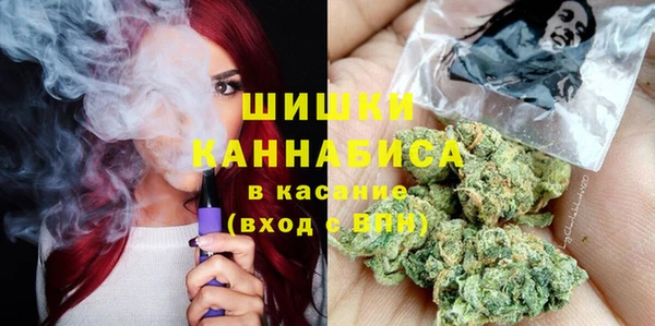 гашик Алексеевка