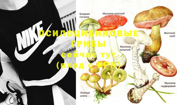 молекула духа Ладушкин