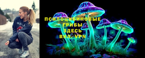 прущая мука Алексин