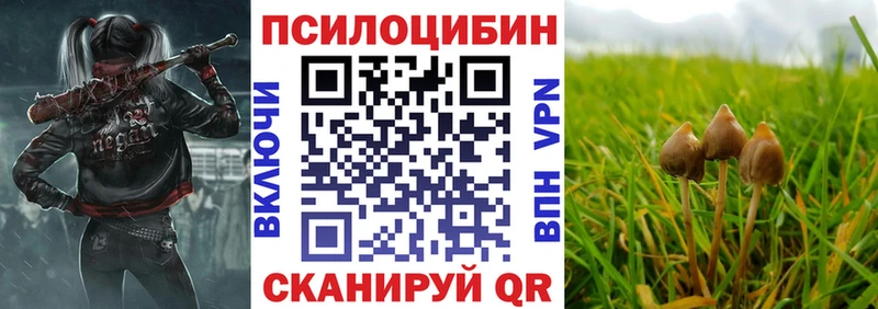 MEGA ONION  купить   Апатиты  Псилоцибиновые грибы ЛСД 